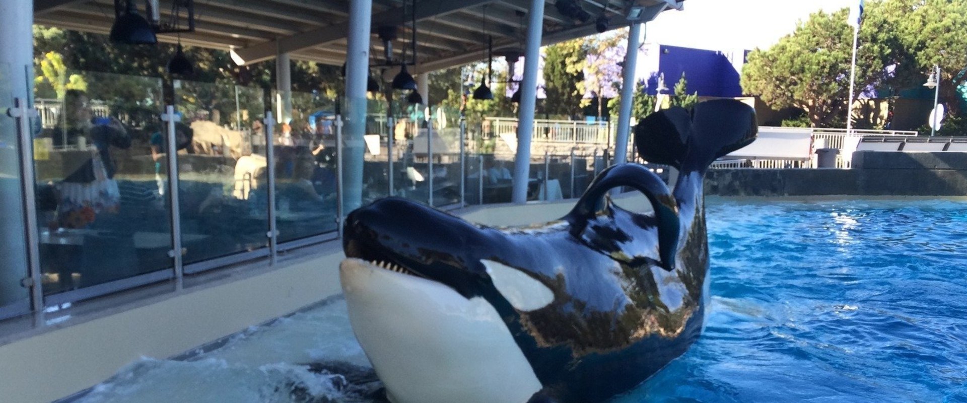Where is san diego seaworld?