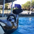 Where is san diego seaworld?