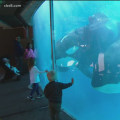 When seaworld san diego reopen?