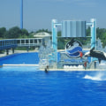 Why did seaworld san diego close?