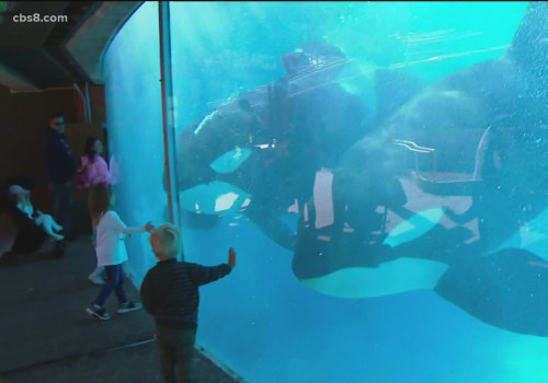 When seaworld san diego reopen?